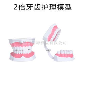 义乌医药教学器材 批发价格的优势与市场价值