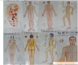 医药教学器材新选择 针灸挂图系列助力中医教育